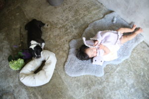 #Blossom 16　ベビーフォト　犬と赤ちゃんのいる風景