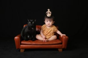 Baby＆cat  ペット一緒に撮影できるフォトスタジオ