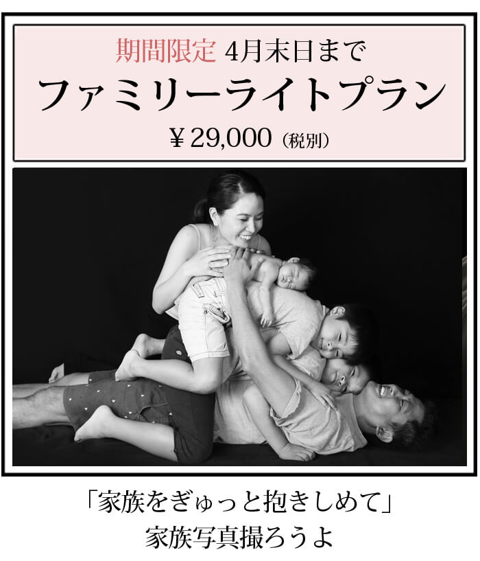 ファミリーライトプラン