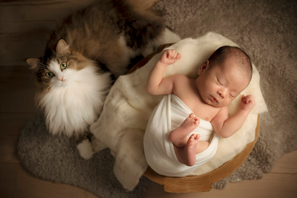 愛猫とニューボーンフォト