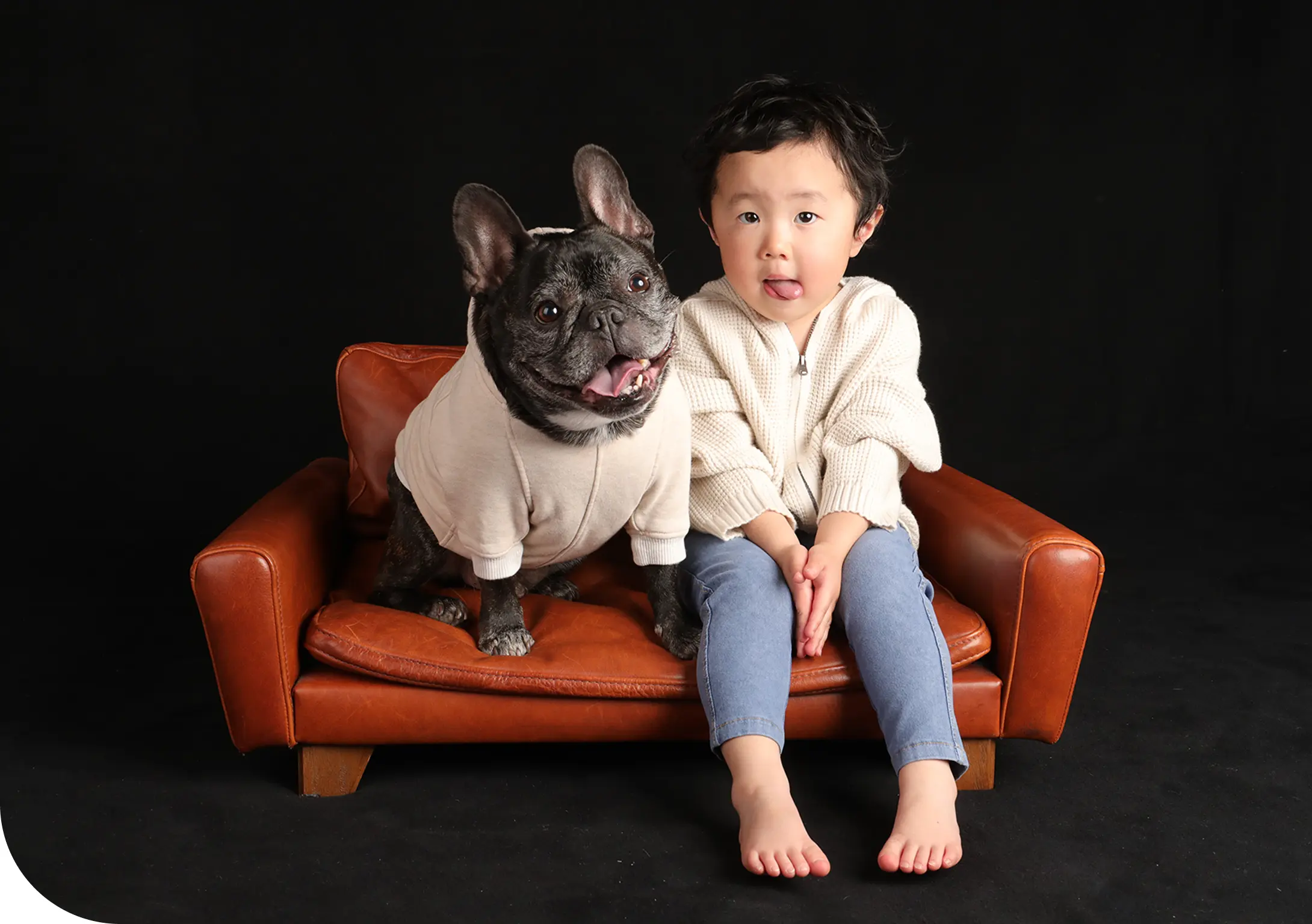 Plans-dog-key.webp